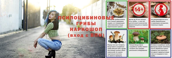 герыч Бородино