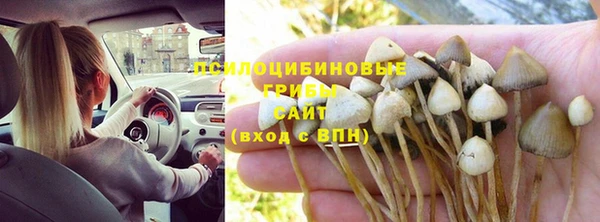 а пвп мука Бронницы